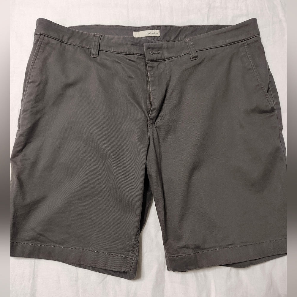 Hawker Rye men's 9inch shorts